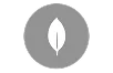 MongoDB