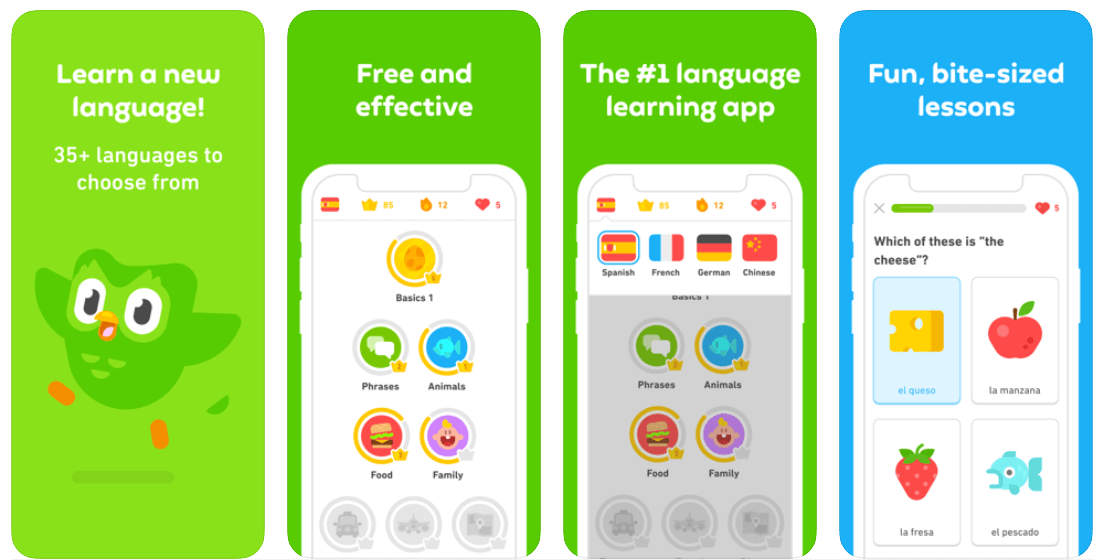 how to do assignments on duolingo