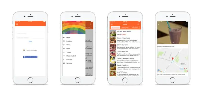 Interface of an e-commerce mobile app