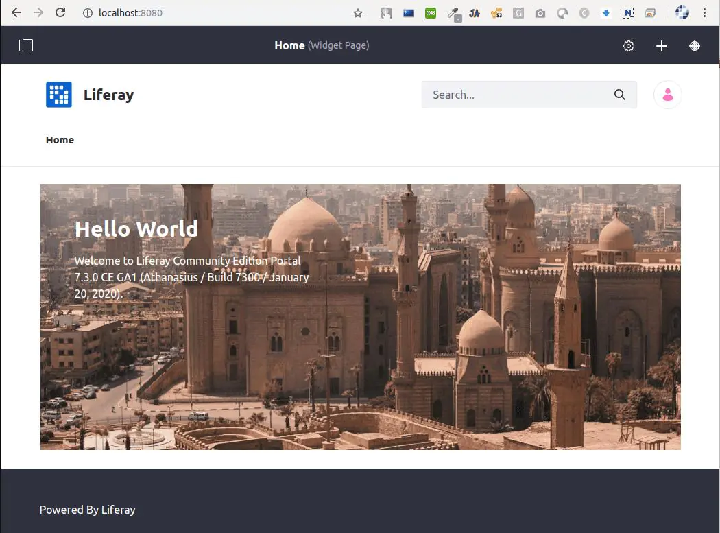 The start Liferay page