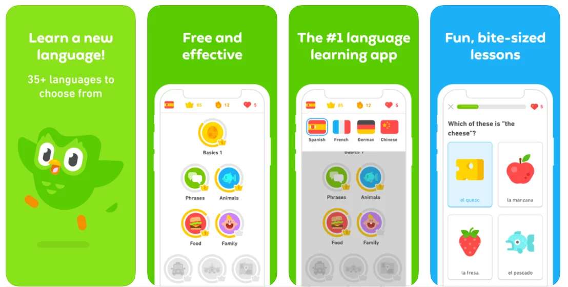 how to create a language app like Duolingo